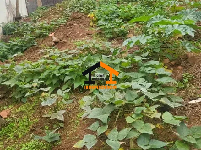 Terreno com 180m², à venda, no bairro Loteamento Residencial Terra Nova em Itatiba