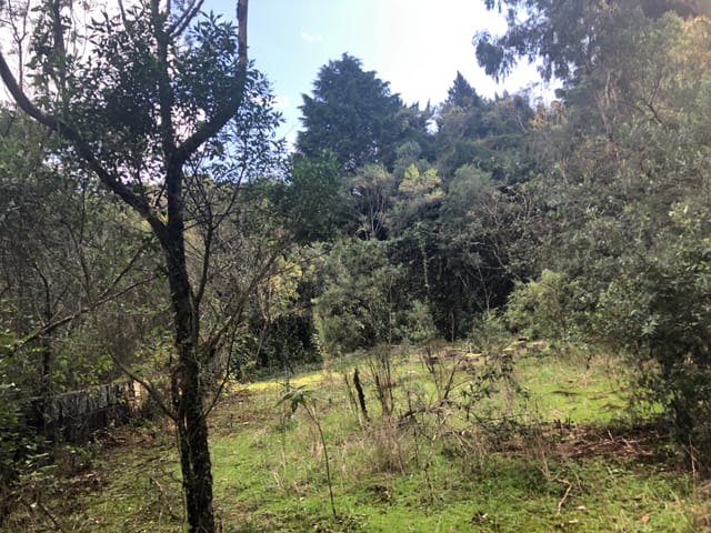 Terreno à venda, no bairro Planalto em Gramado