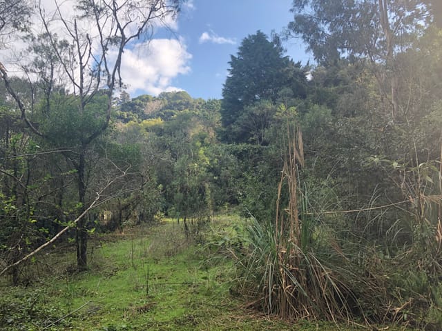 Terreno à venda, no bairro Planalto em Gramado