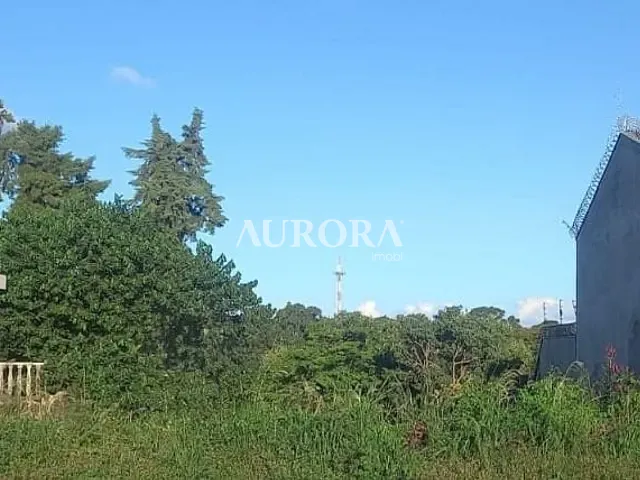 Terreno com 413m², à venda, no bairro Jardim Sumare em Londrina