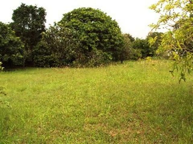 Foto do Terreno - Terreno residencial à venda, Chácaras Residenciais Santa Maria, Votorantim - TE2275. | Ary Proenca Negócios Imobiliários Ltda