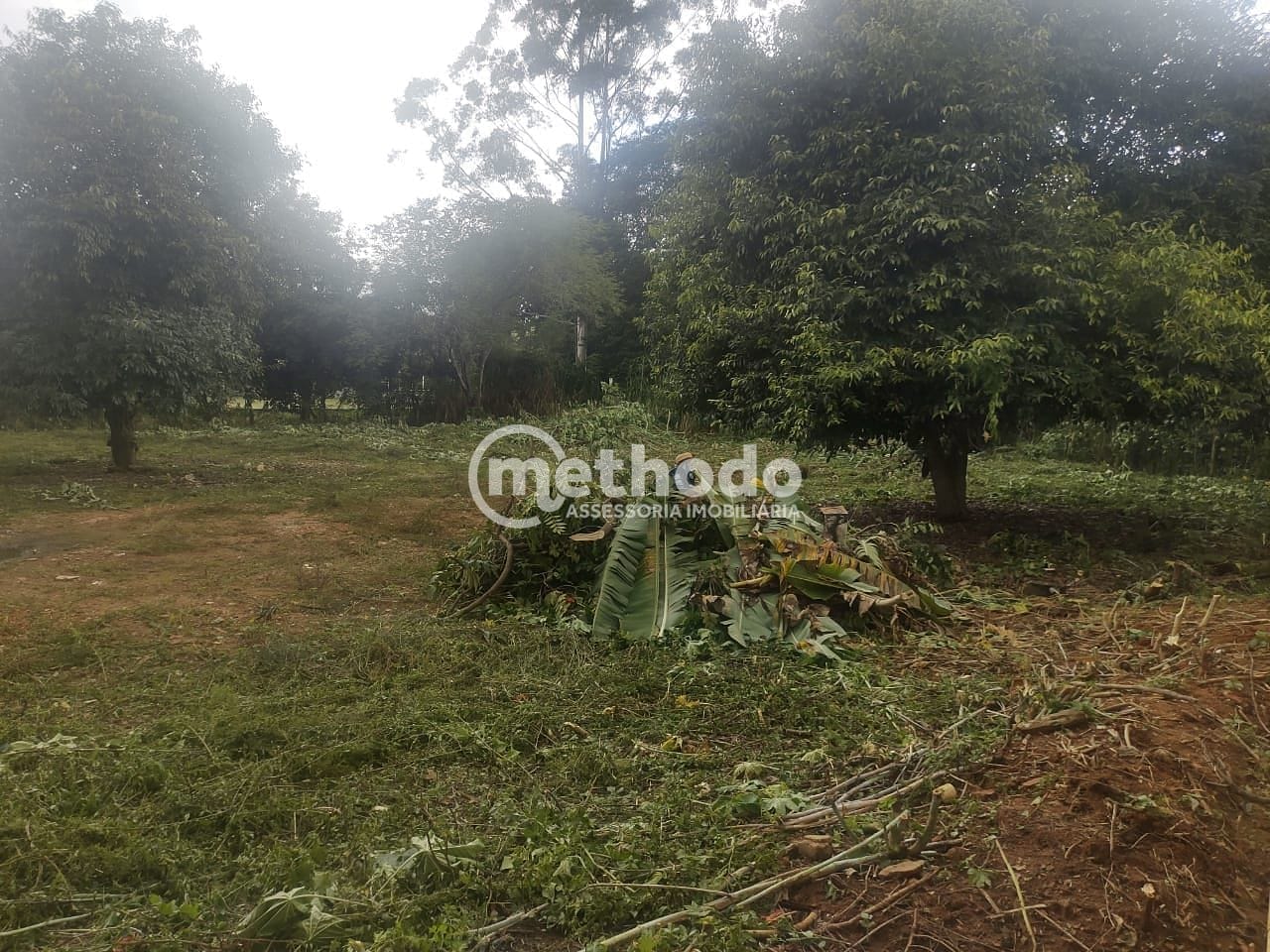 Terreno, 3102 m² - Foto 7