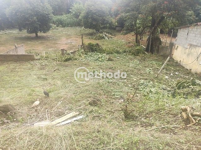 Terreno, 3102 m² - Foto 6