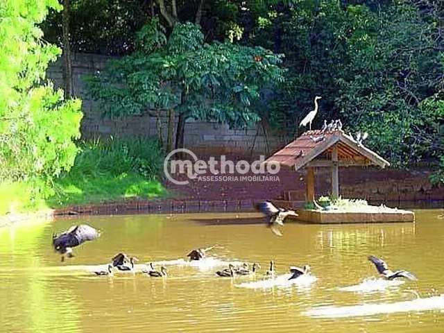 Terreno com 2192m², à venda, no bairro Barão Geraldo em Campinas