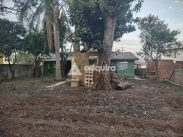 Terreno com 490m², à venda, no bairro Oficinas em Ponta Grossa
