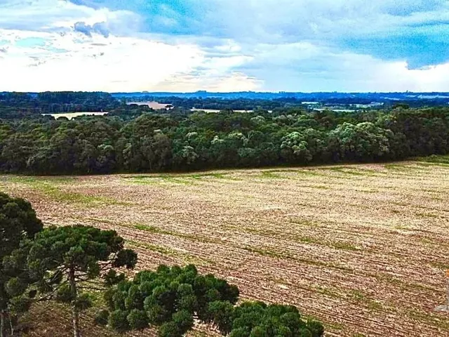 Terreno à venda, no bairro Campo Largo da Roseira em São José Dos Pinhais