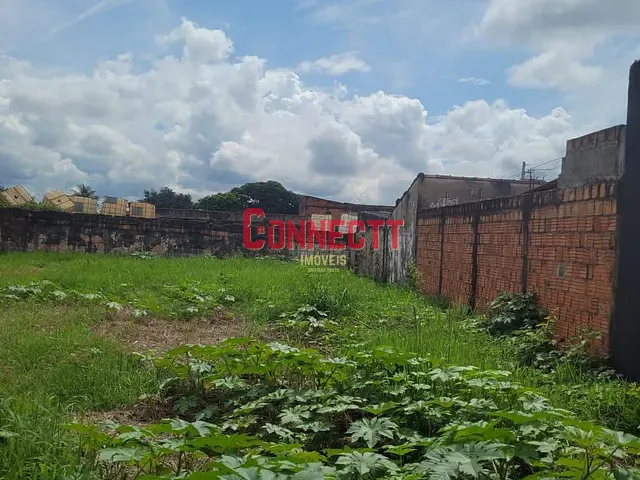 Terreno com 450m², para alugar, no bairro Jardim Salgado Filho em Ribeirão Preto