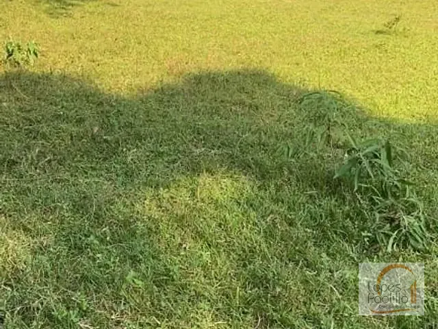 Terreno com 12000m², à venda, no bairro Jardim Estância Brasil em Atibaia