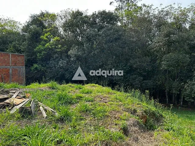 Terreno com 266m², à venda, no bairro Orfãs em Ponta Grossa