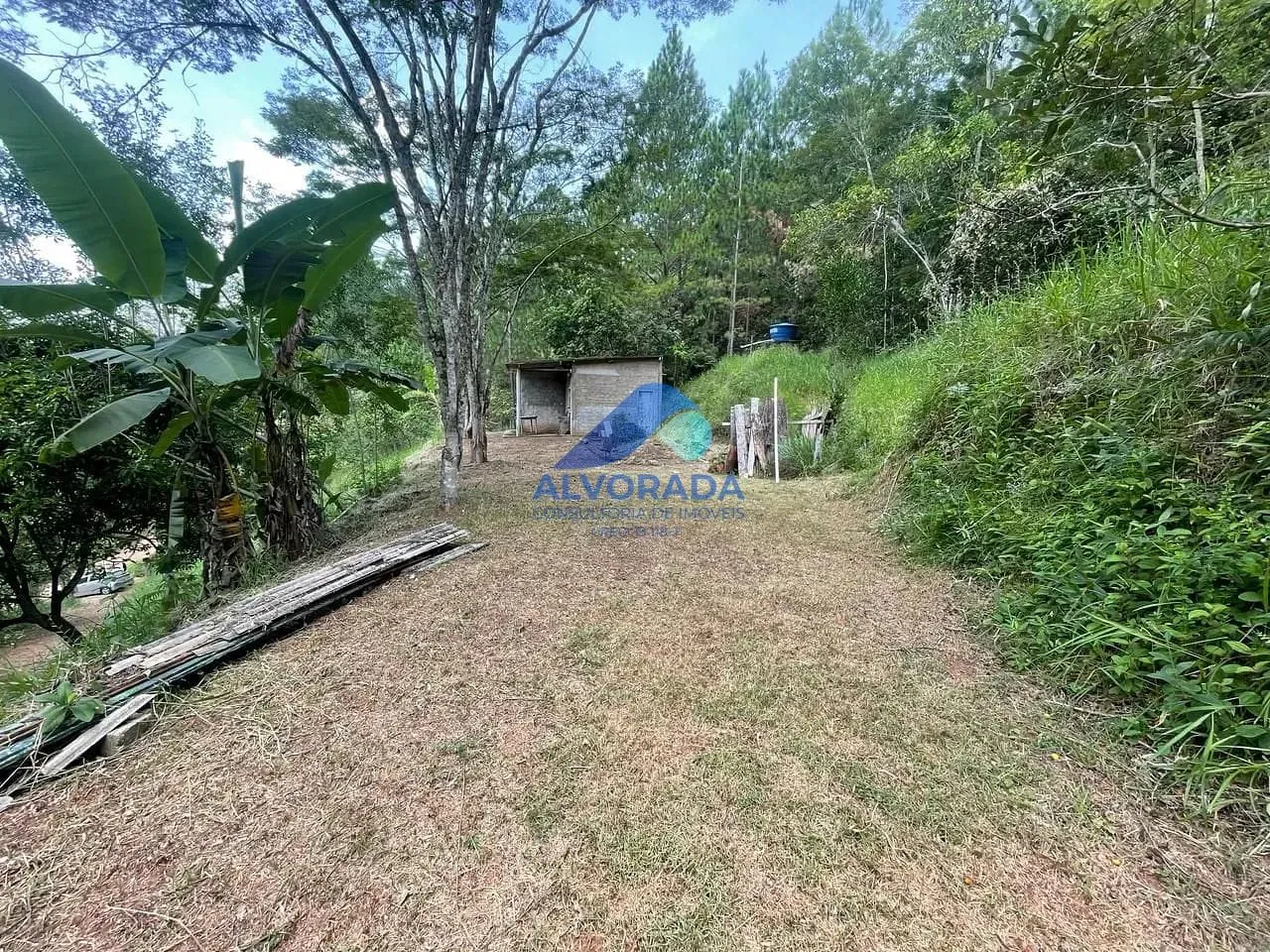 Terreno, 5000 m² - Foto 4