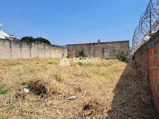Terreno com 462m², à venda, no bairro Orfãs em Ponta Grossa
