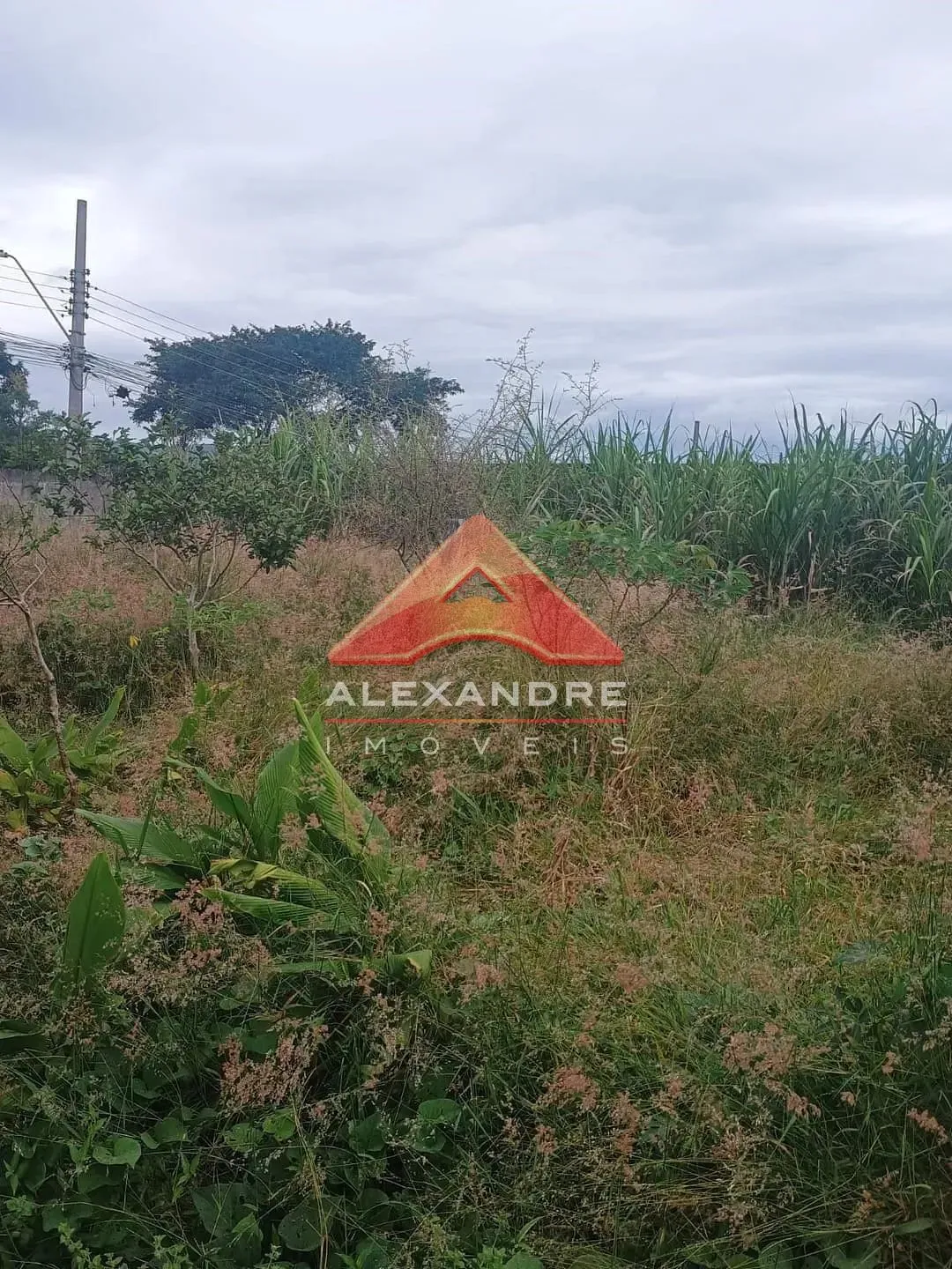 Terreno, 130 m² - Foto 1