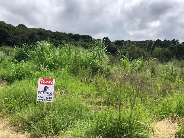 Terreno à venda, no bairro Campo Magro em Campo Magro