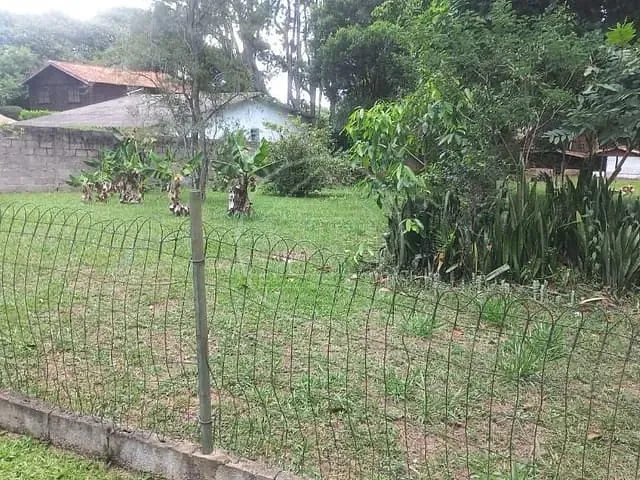 Terreno com 261m², à venda, no bairro Jardim das Palmeiras (Zona Sul) em São Paulo