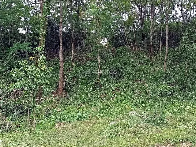 Terreno com 25468m², à venda, no bairro Brigadeiro Tobias em Sorocaba