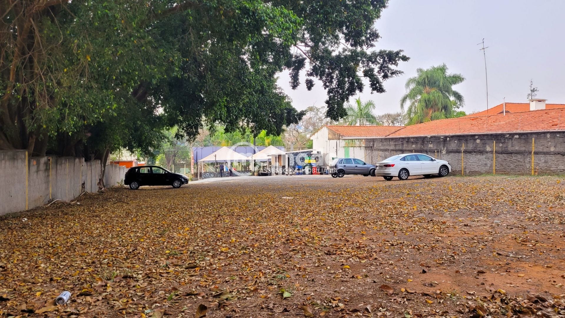 Terreno, 1250 m² - Foto 5