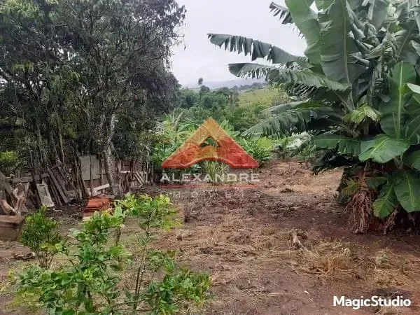Terreno, 884 m² - Foto 6