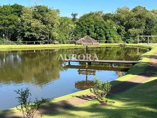 Terreno com 316m², à venda, no bairro Esperança em Londrina
