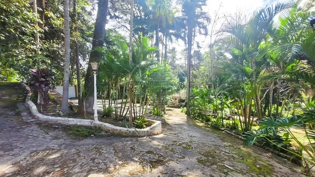 Terreno, 7000 m² - Foto 5