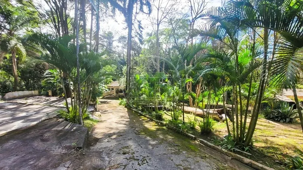 Terreno, 7000 m² - Foto 4