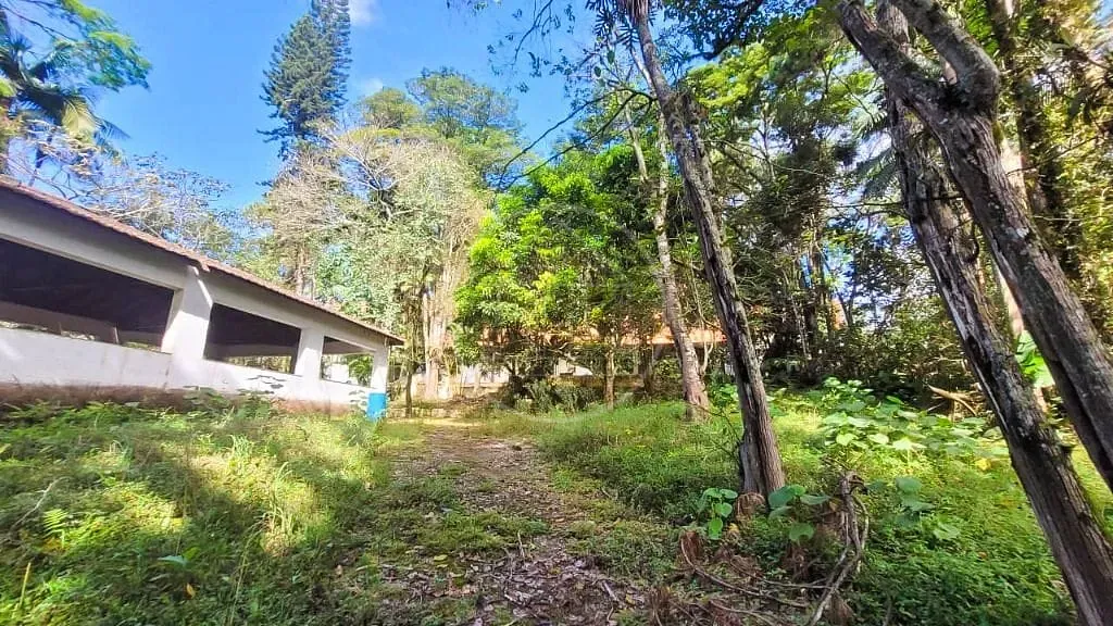 Terreno, 7000 m² - Foto 1