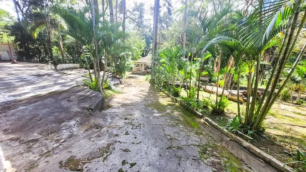 Terreno, 7000 m² - Foto 3