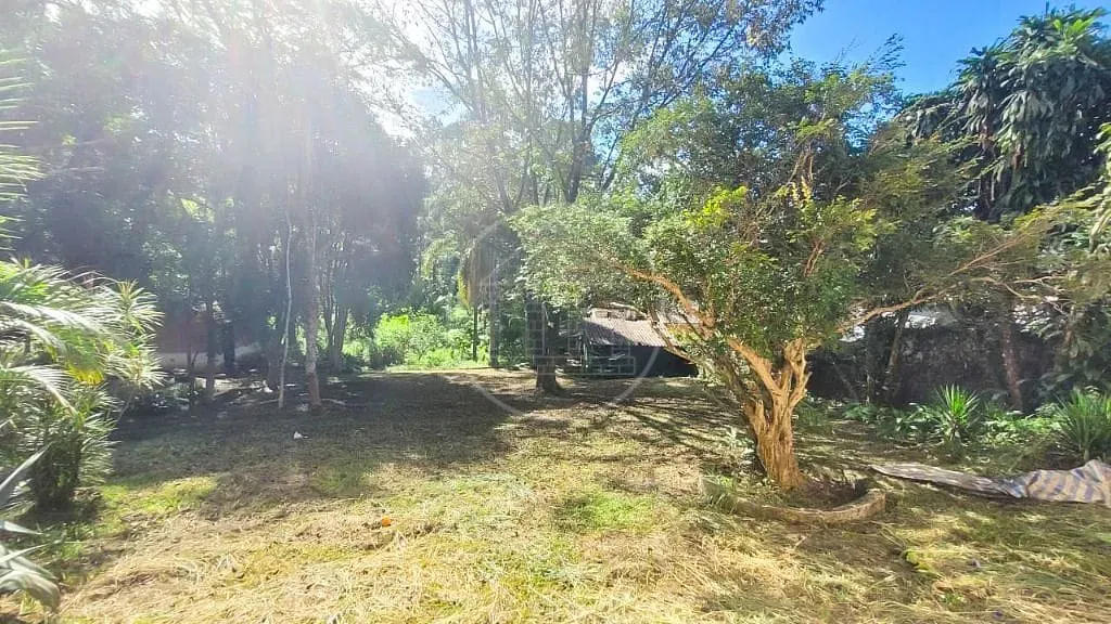 Terreno, 7000 m² - Foto 8
