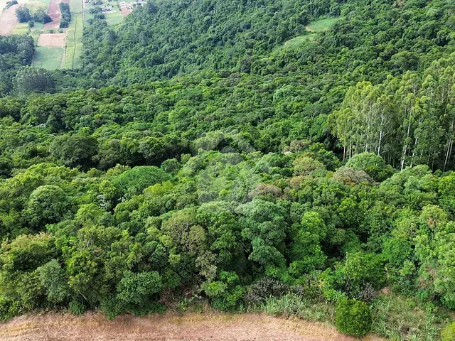 Terreno com 24000m², à venda, no bairro Interior em Westfalia