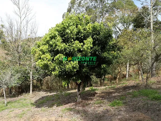 Terreno com 20000m², à venda, no bairro bairro do rio preto em Santo Antônio do Pinhal