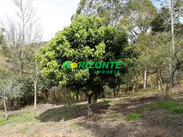 Terreno com 20000m², à venda, no bairro bairro do rio preto em Santo Antônio do Pinhal
