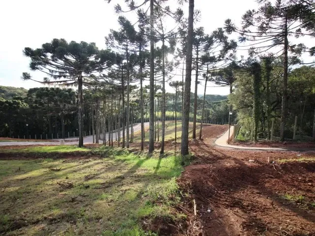 Terreno à venda, no bairro Campo Comprido em Curitiba