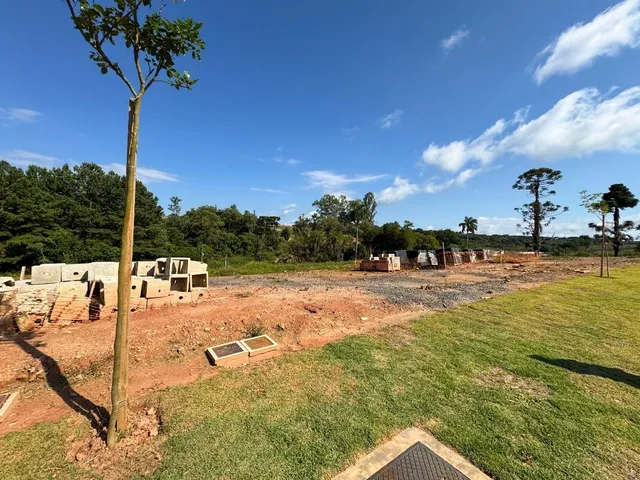 Terreno à venda, no bairro Alphaville em Campo Largo