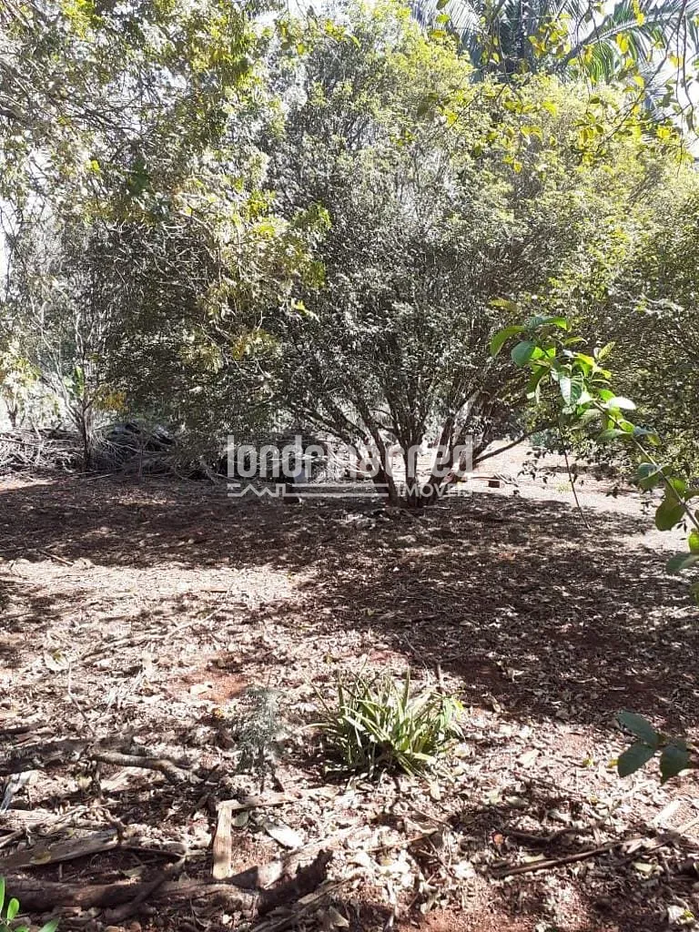 Terreno, 3680 m² - Foto 6