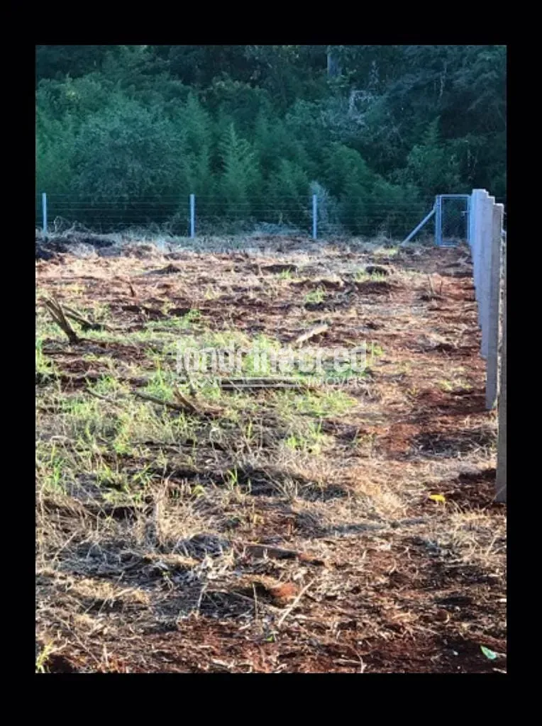 Terreno, 3680 m² - Foto 13