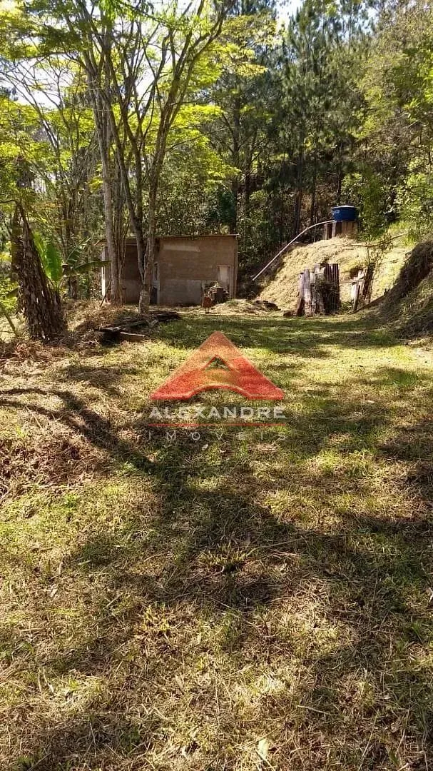 Terreno, 5000 m² - Foto 2