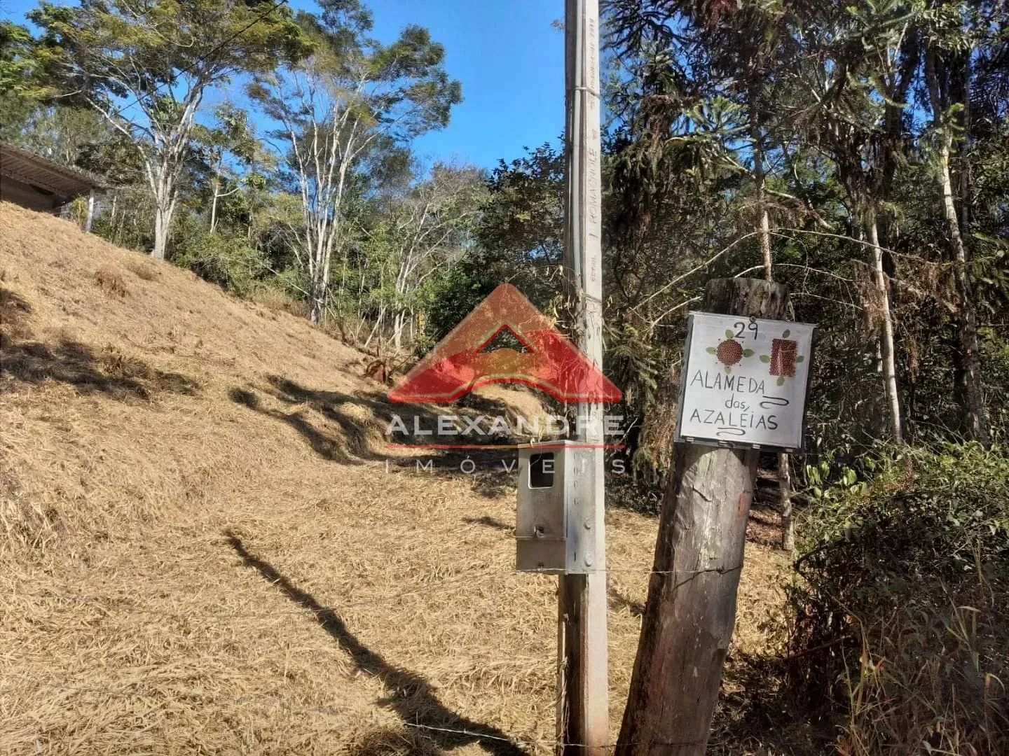Terreno, 5000 m² - Foto 6