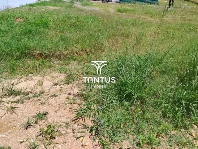 Terreno à venda, no bairro Pilarzinho em Curitiba