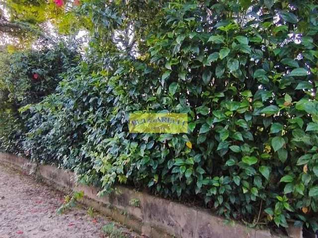 Terreno com 996m², à venda, no bairro Jardim Sagrado Coração de Jesus em Jundiaí