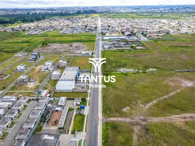 Terreno à venda, no bairro Ipê em São José Dos Pinhais