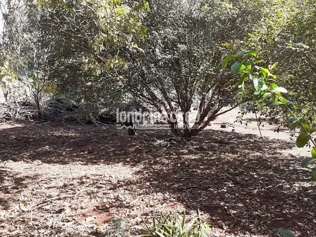 Terreno com 3680m², à venda, no bairro Parque Nacional em Londrina