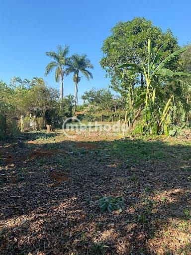 Terreno, 1001 m² - Foto 4