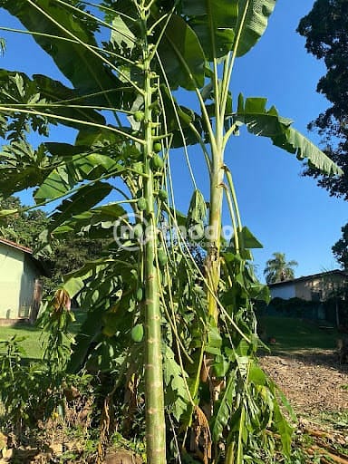 Terreno, 1001 m² - Foto 2