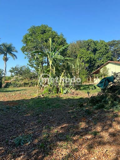 Terreno, 1001 m² - Foto 5