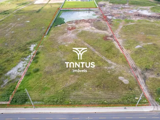 Terreno para alugar, no bairro Ipê em São José Dos Pinhais