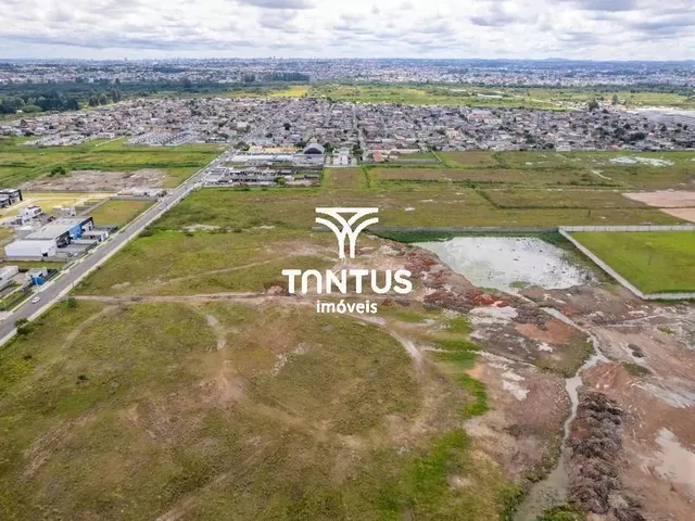 Terreno para alugar, no bairro Ipê em São José Dos Pinhais