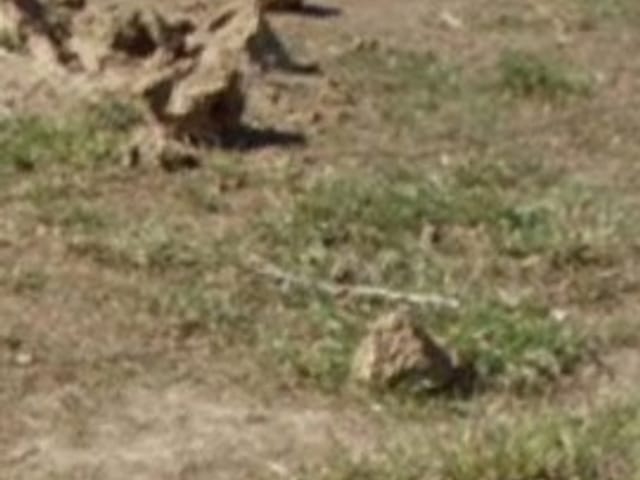 Terreno com 190m², à venda, no bairro Perinho em Caçapava
