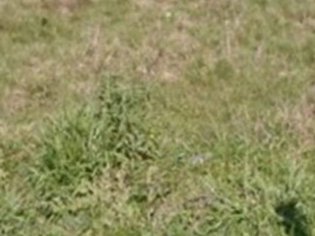 Terreno com 190m², à venda, no bairro Perinho em Caçapava