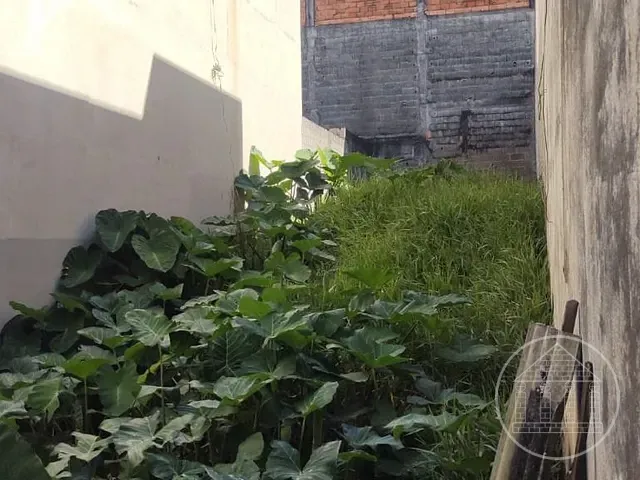 Terreno com 125m², à venda, no bairro Recanto Ana Maria em São Paulo