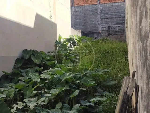 Terreno com 125m², à venda, no bairro Recanto Ana Maria em São Paulo