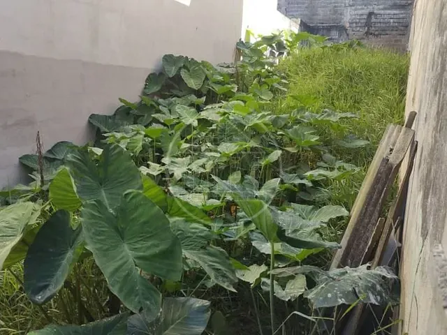 Terreno com 125m², à venda, no bairro Recanto Ana Maria em São Paulo